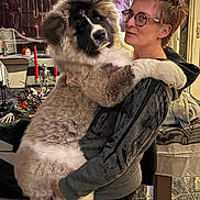 Ashtag a rejoint le concours — aidez-le/la à gagner de superbes lots ! black, candle, celebration, costume, decorations, dog, face, fur, glasses, halloween, holding, hoodie, indoor, person, pet, pumpkin, skeleton, spooky, table, white