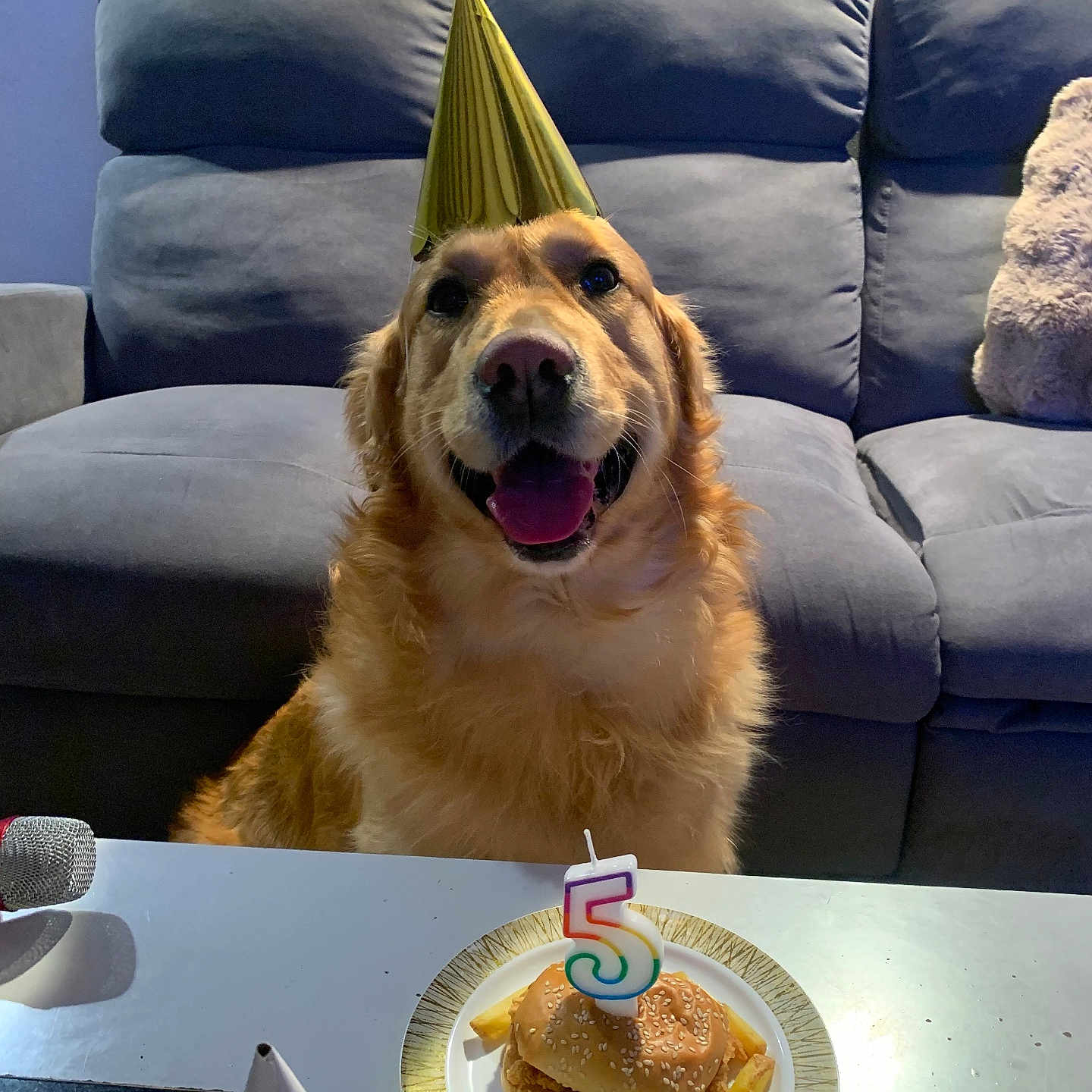 Tommy participe au concours pour gagner de l'argent avec cette photo : dog, golden_retriever, party_hat, birthday, candle, number_5, burger, french_fries, plate, table, couch, living_room, celebration, pet, smiling, happy, indoor, food, festive, animal