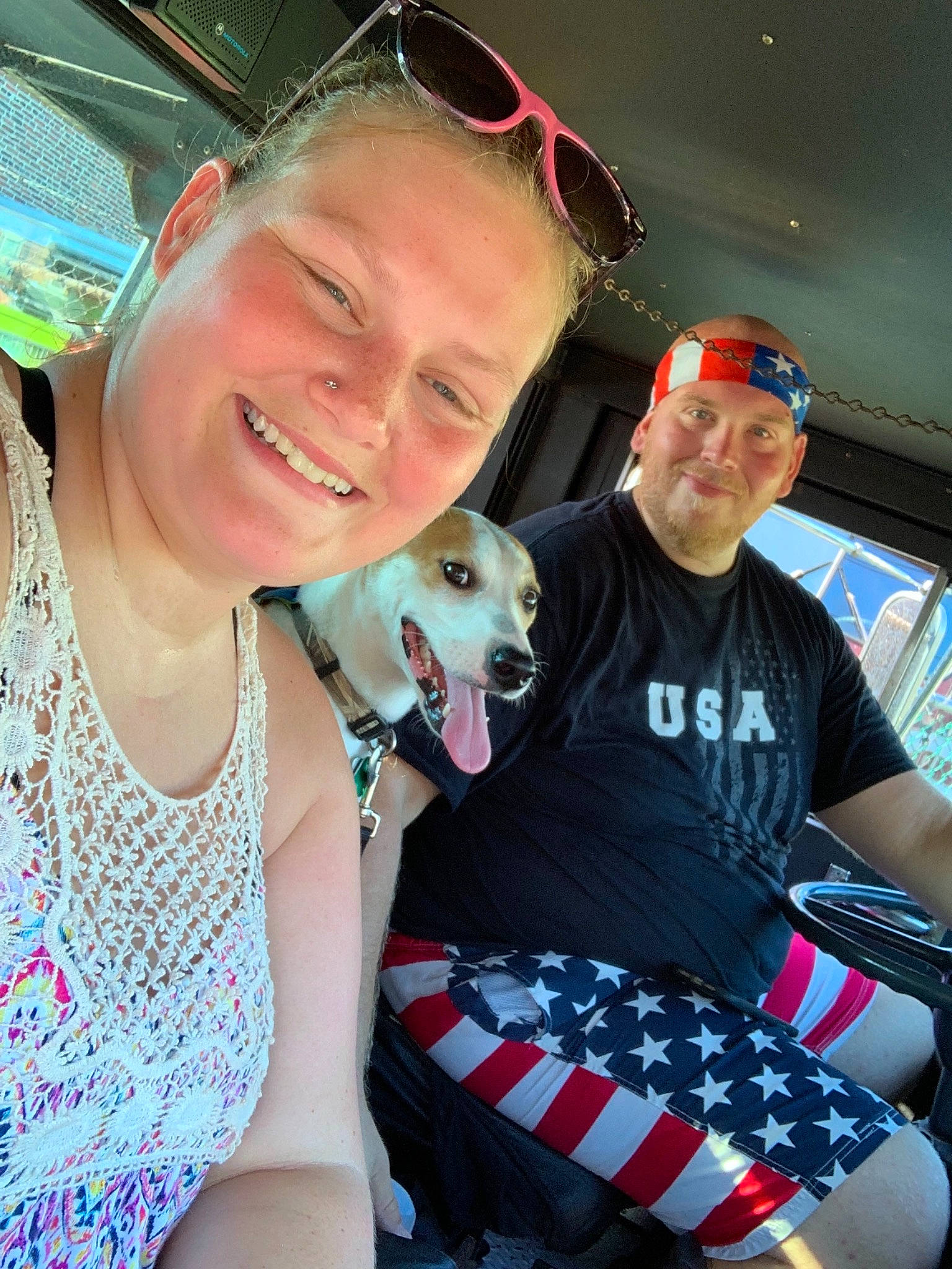 Jak joined the competition — help win amazing prizes! canidae, carnivore, cool, dog, dog_breed, fawn, italian_greyhound, lurcher, smile, sunglasses, vacation, whippet