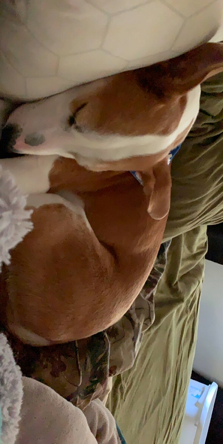 Jak joined the competition — help win amazing prizes!