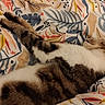 cat, tabby_cat, white_cat, sleeping, sleepy, relaxed, lying_down, stretching, paw, fur, whiskers, ears, animal, pet, blanket, bed, indoor, cozy, patterned_fabric, timestamp