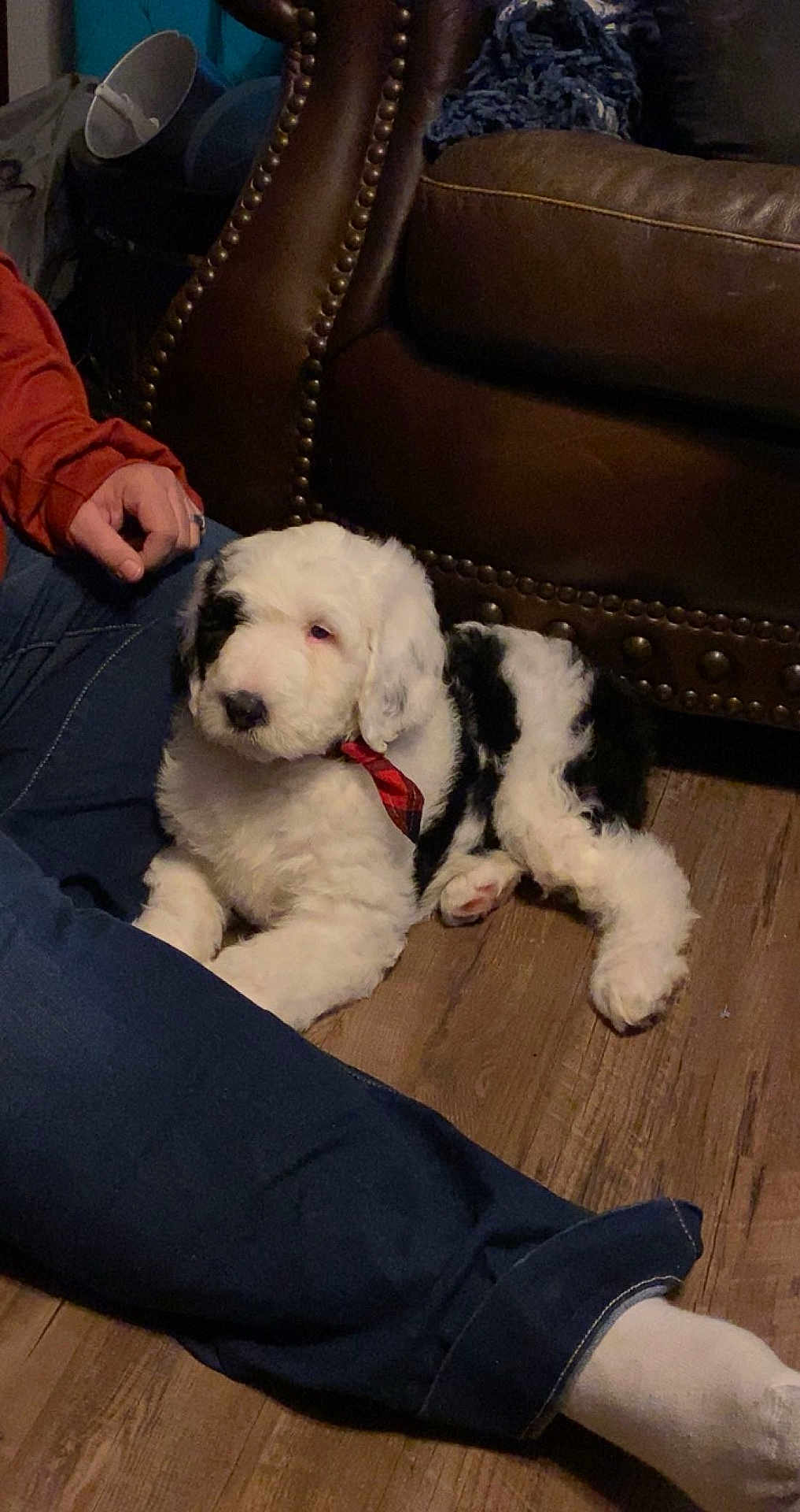 Maggie