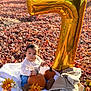 baby, pumpkin, blanket, autumn_leaves, balloon, number_balloon, outdoor, fall, child, flower, coat, boots, cute, seasonal, nature, celebration, orange, yellow, sunlight, portrait