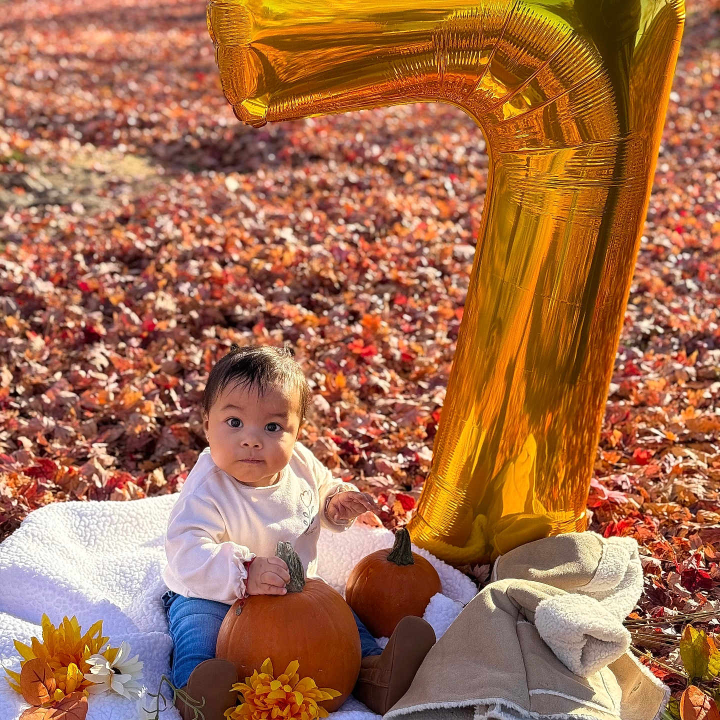 Miranda Castro is registered to the contest to win money with this photo: autumn_leaves, baby, balloon, blanket, boots, celebration, child, coat, cute, fall, flower, nature, number_balloon, orange, outdoor, portrait, pumpkin, seasonal, sunlight, yellow