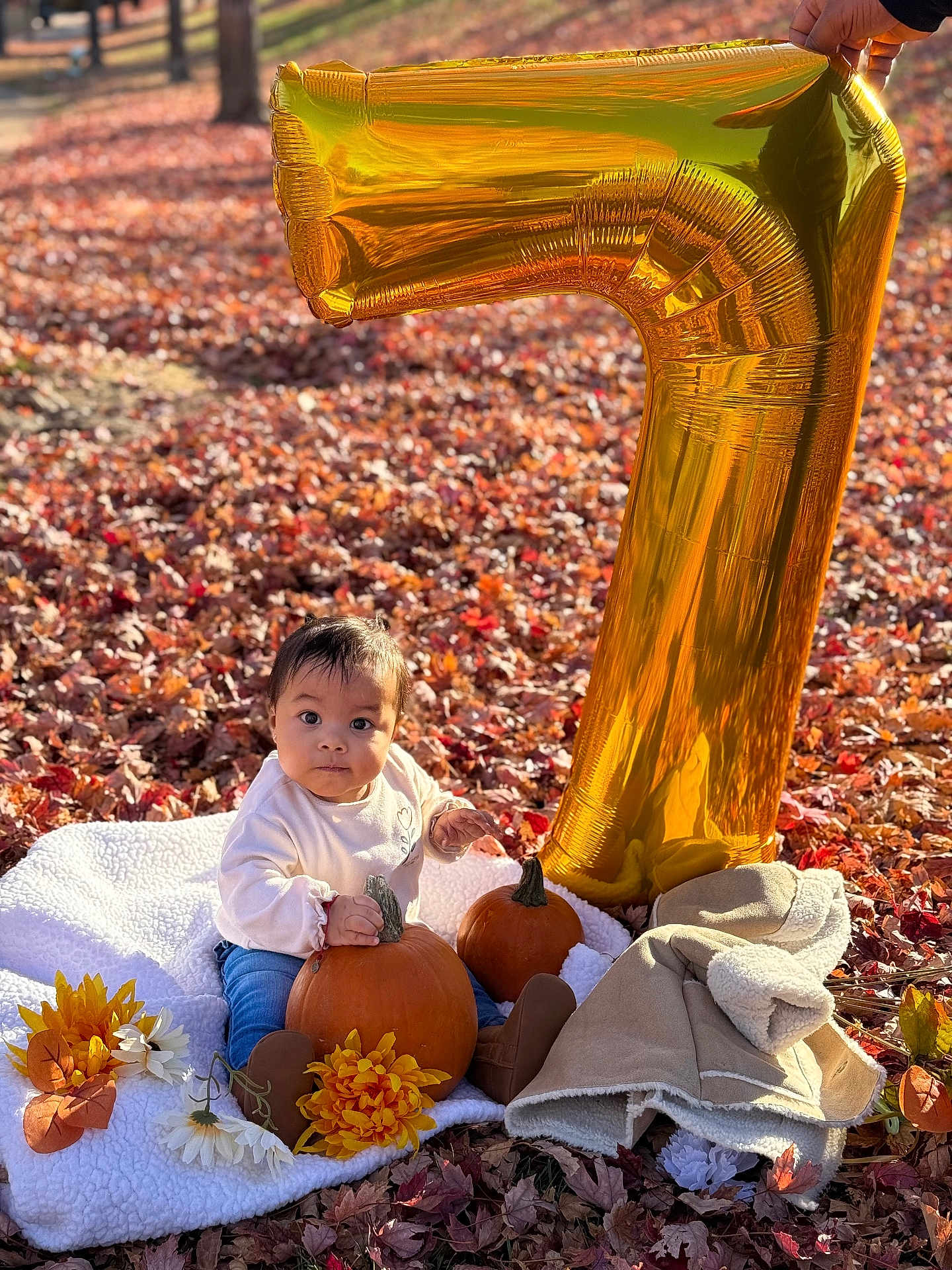 Miranda Castro is registered to the contest to win money with this photo: baby, pumpkin, blanket, autumn_leaves, balloon, number_balloon, outdoor, fall, child, flower, coat, boots, cute, seasonal, nature, celebration, orange, yellow, sunlight, portrait