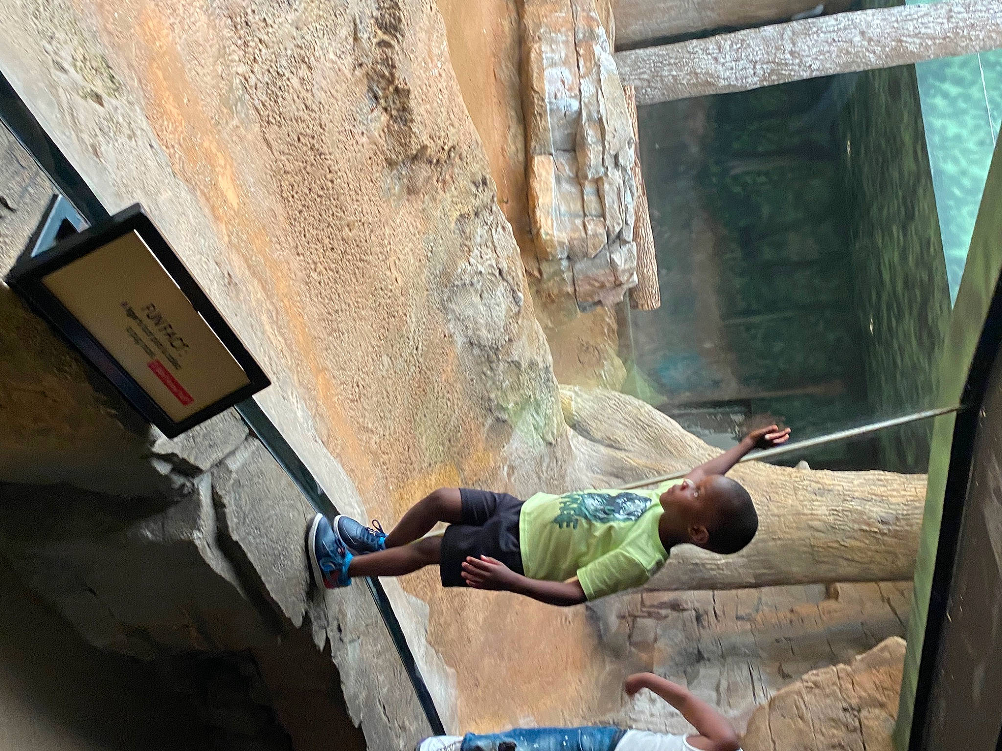 Malachi is registered to the contest to win money with this photo: adventure, climbing, climbing_shoe, concrete, elbow, facade, fun, hat, human_leg, knee, leisure, outdoor_shoe, person, recreation, rope, shorts, t_shirt, world