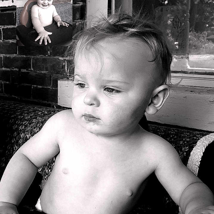 Knox