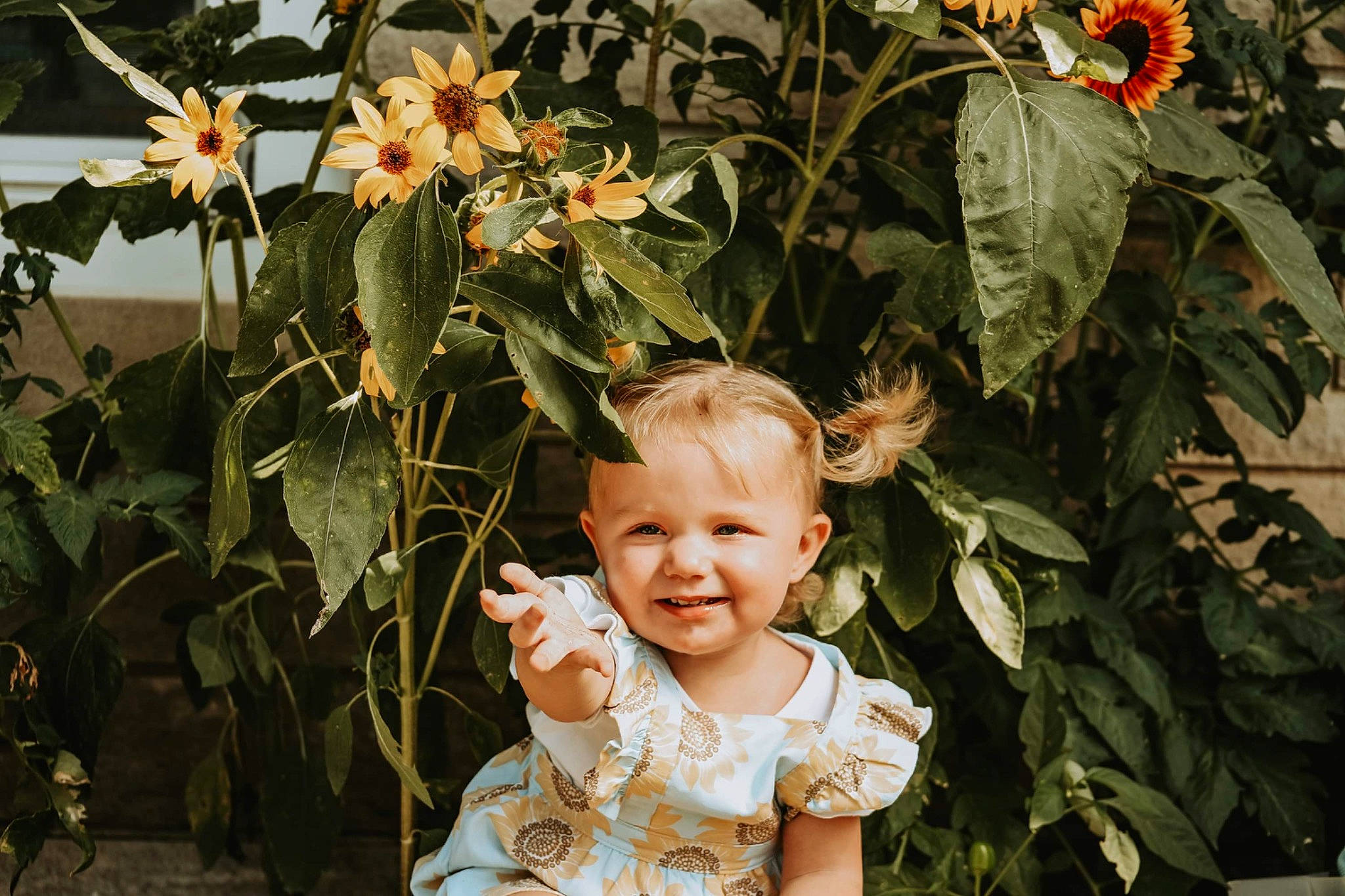 Evelyn joined the competition — help win amazing prizes! baby, baby_toddler_clothing, botany, child, flower, flowering_plant, garden, grass, happy, joy, leaf, people_in_nature, person, petal, plant, rose_family, sitting, smile, terrestrial_plant, toddler