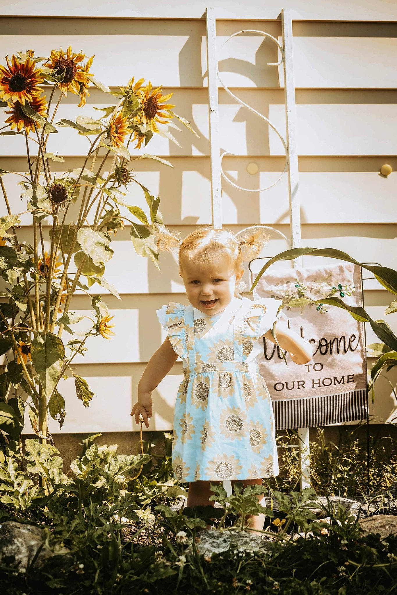 Evelyn is registered to the contest to win money with this photo: botany, branch, child, dress, flower, grass, happy, joy, leaf, morning, people_in_nature, person, petal, plant, summer, sunlight, tints_and_shades, toddler, tree, twig