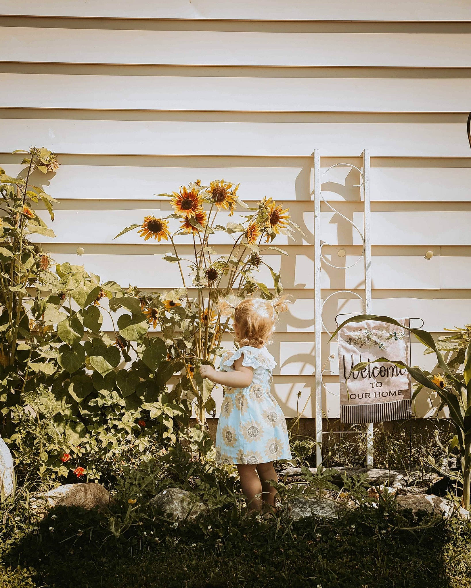 Evelyn joined the competition — help win amazing prizes! building, facade, flower, flowering_plant, garden, grass, happy, house, landscape, people_in_nature, person, plant, shadow, shrub, siding, soil, tints_and_shades, twig, vintage_clothing, window