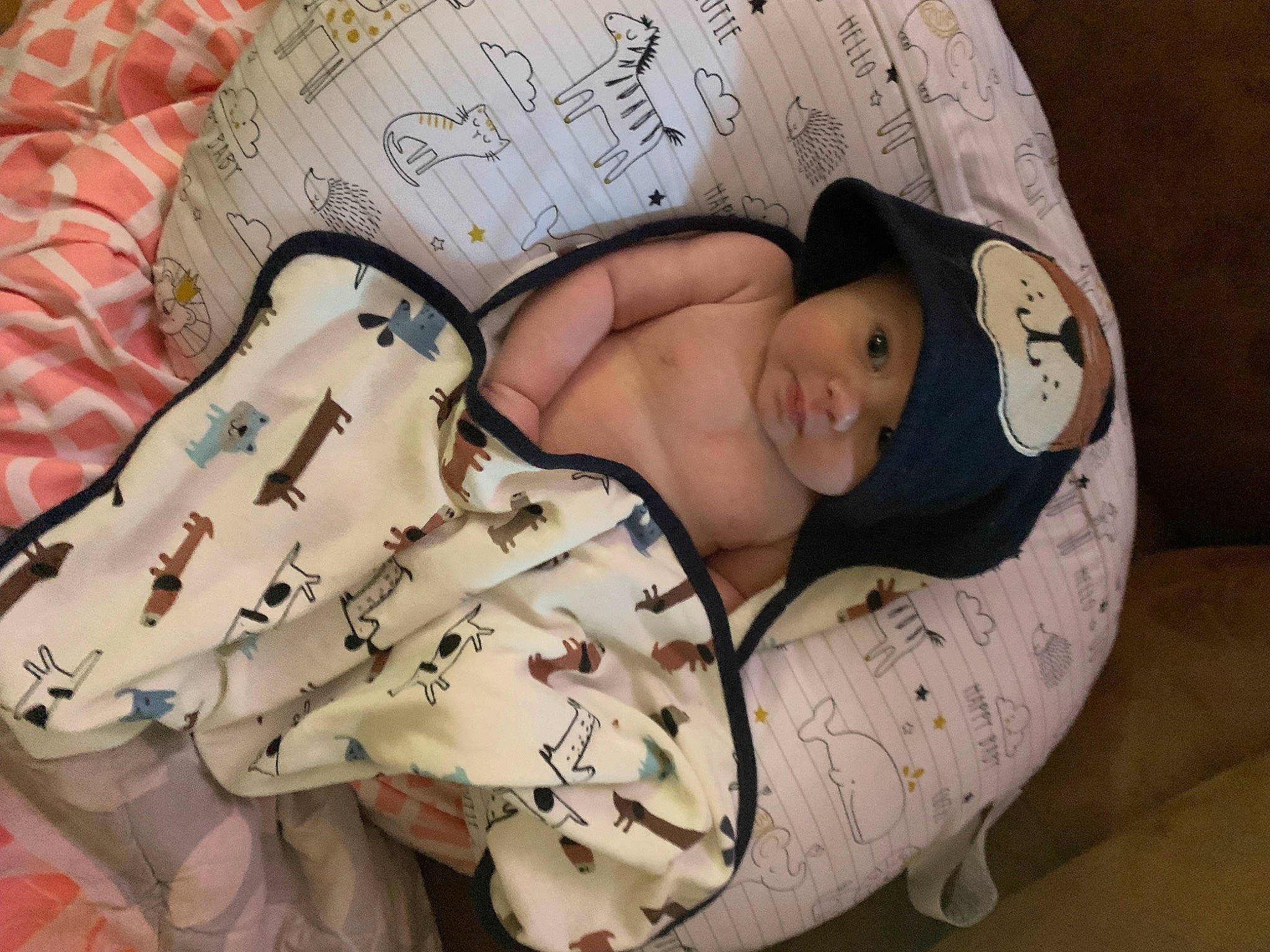 Miles is registered to the contest to win money with this photo: baby, baby_products, baby_safety, baby_sleeping, baby_toddler_clothing, bedding, bedtime, cheek, child, comfort, headwear, linens, mammal, nap, pattern, person, room, skin, sleep, sleeve