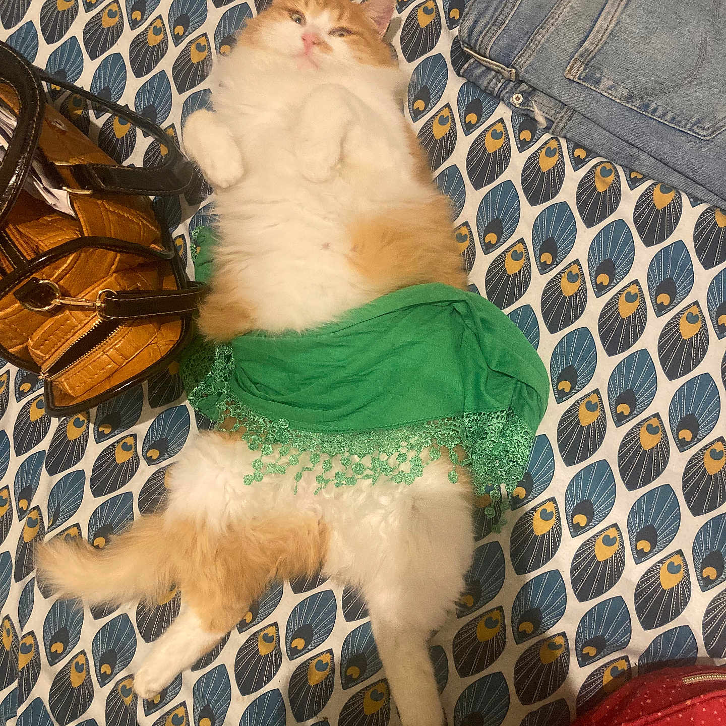 Aya a rejoint le concours — aidez-le/la à gagner de superbes lots ! bag, bedspread, cat, cozy, cute, domestic_animal, feline, fluffy, folded_clothes, green_cloth, indoor, jeans, leather_bag, lying_down, orange_cat, patterned_bedspread, pet, relaxed, resting, white_cat