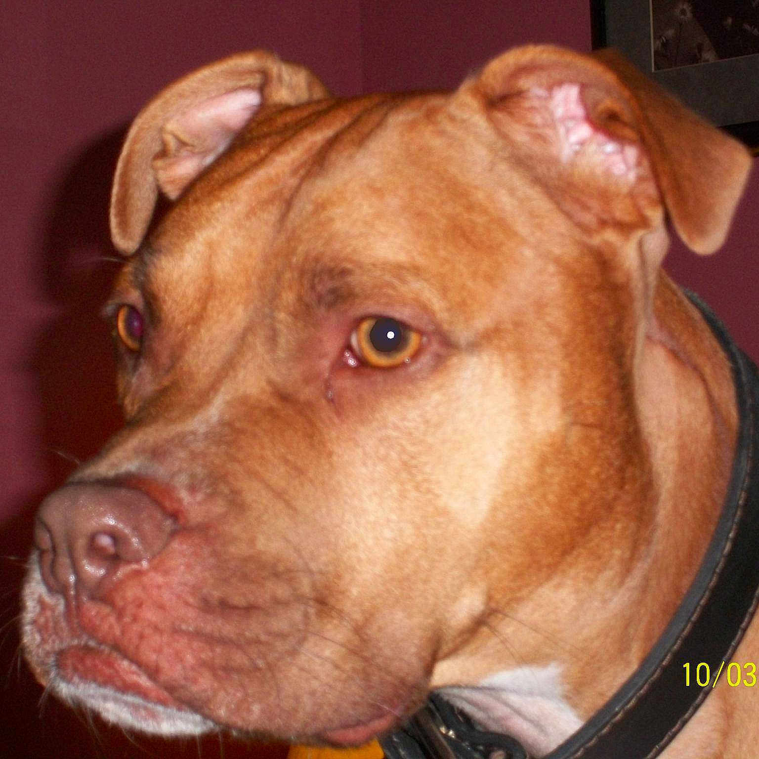 Rokko is registered to the contest to win money with this photo: