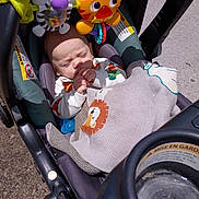 Levi is registered to the contest to win money with this photo: baby, stroller, blanket, toy, sleeping, infant, child, sunlight, outdoor, animal_toy, lion, zebra, pacifier, seat, safety_strap, carrying_handle, colorful, cute, resting, daylight