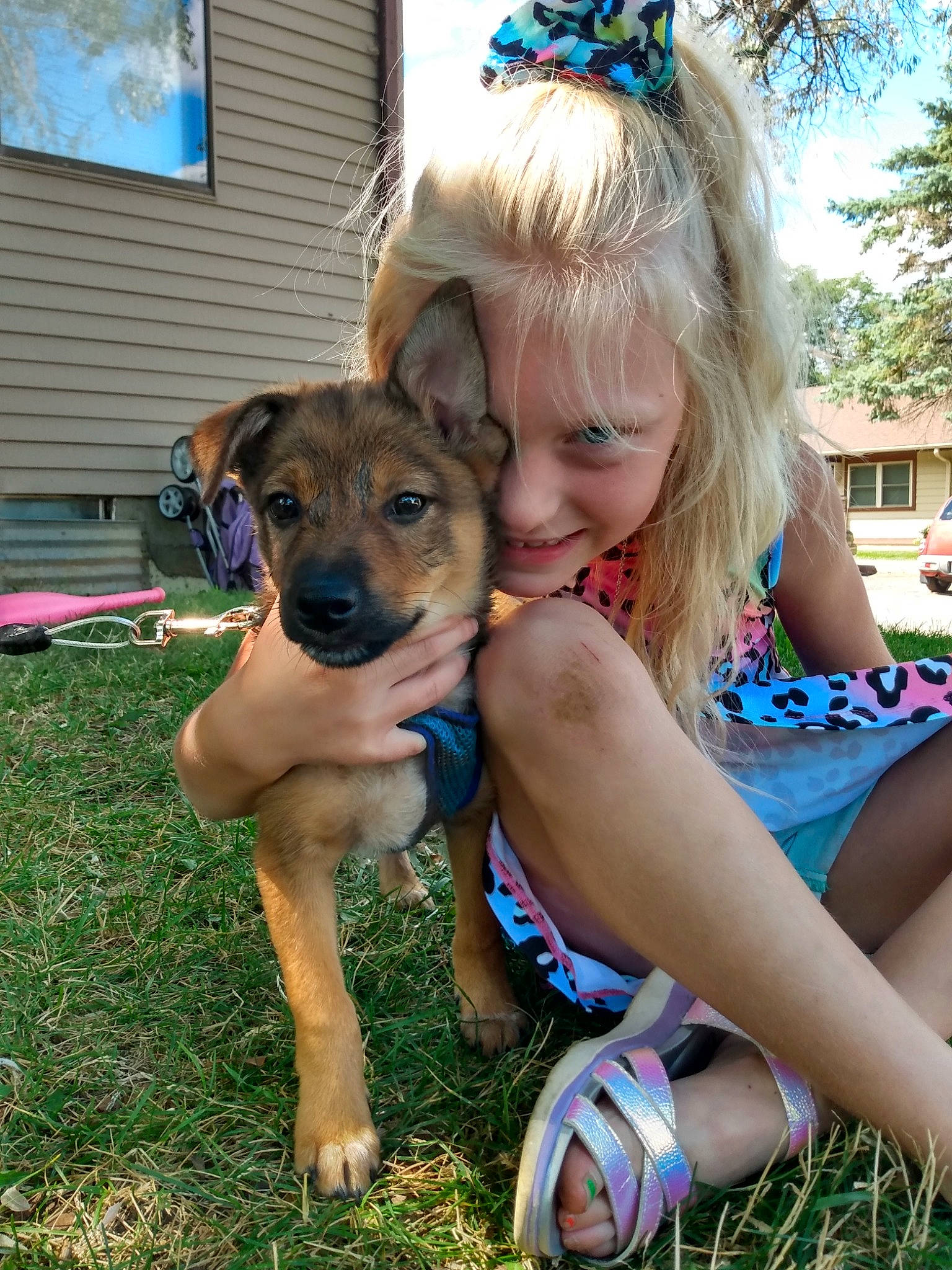 Claire joined the competition — help win amazing prizes! blond, carnivore, companion_dog, dog, dog_breed, electric_blue, event, fawn, fun, grass, happy, joy, leisure, mammal, person, plant, shorts, sky, smile, thigh