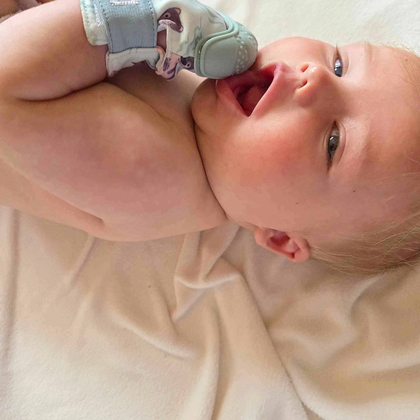 Briggs joined the competition — help win amazing prizes! architecture, baby, bed, bodypart, building, clothing, diaper, face, finger, furniture, glove, hand, head, hospital, mouth, newborn, person, photography, portrait, teeth