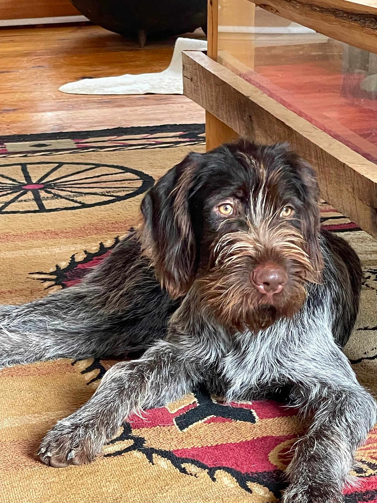 Charlie