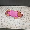 newborn, baby, sleeping, infant, pink_outfit, pink_hat, blanket, stars, nursery, portrait, lying_down, peaceful, cozy, adorable, closed_eyes, soft_lighting, indoor, photography, wristband, star_pattern