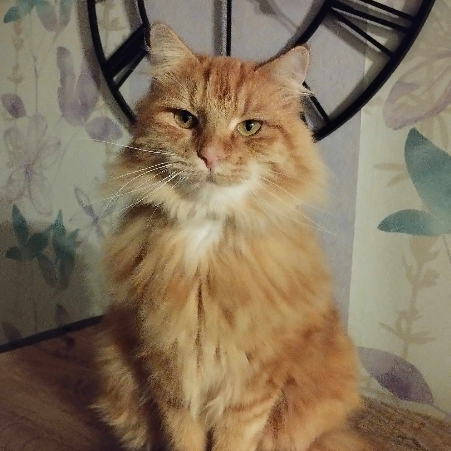 Pixel
