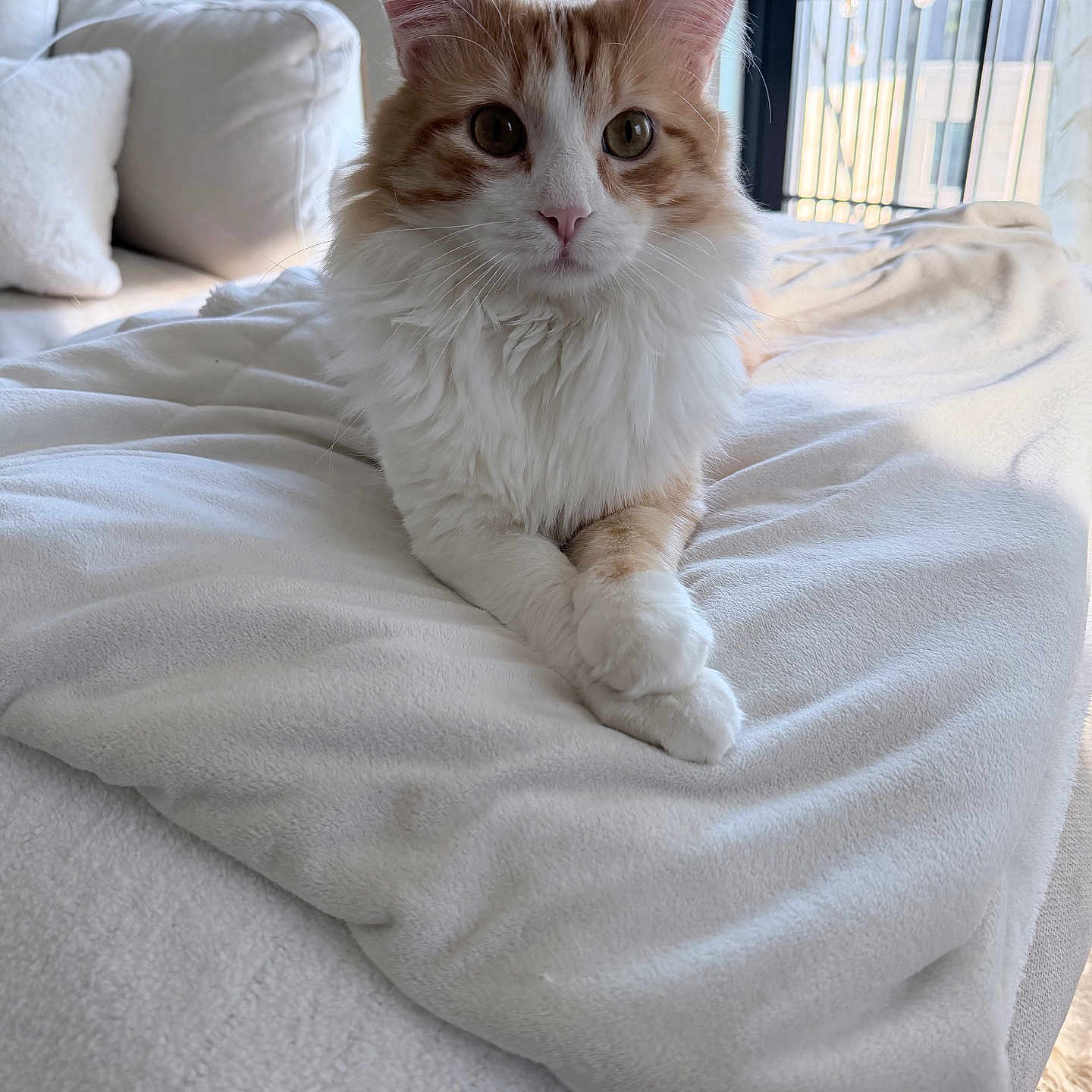 Milo