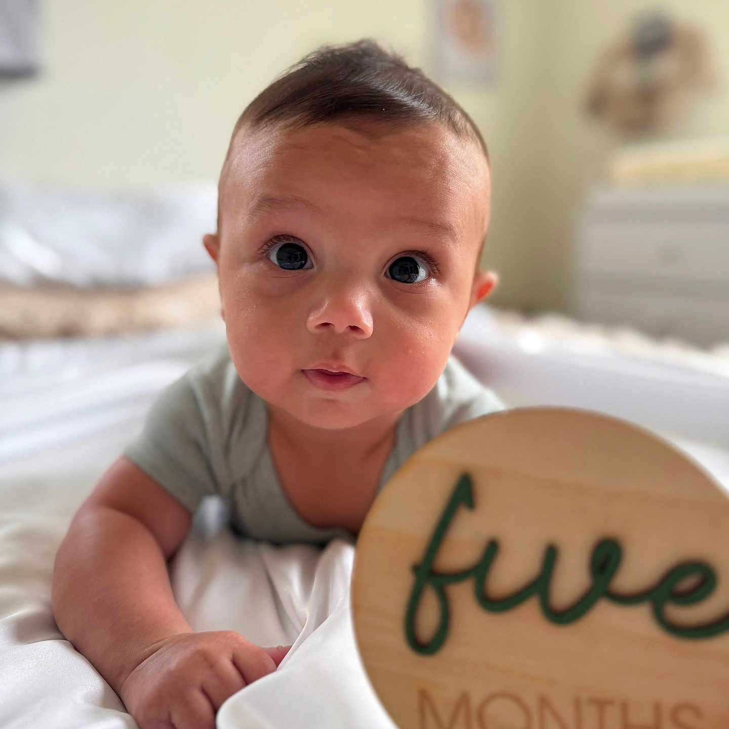 Emeric joined the competition — help win amazing prizes! baby, background_blur, blanket, child, curious, cute, eyes, face, five_months, focus, hand, indoors, infant, lying_down, milestone, person, portrait, soft_light, wooden_sign, young