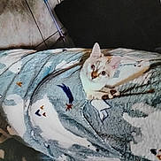Flocon a rejoint le concours — aidez-le/la à gagner de superbes lots ! abyssinian, animal, bed, bedroom, blanket, canine, cat, couch, cushion, dog, furniture, homedecor, indoors, kitten, linen, manx, pet, quilt, room, siamese
