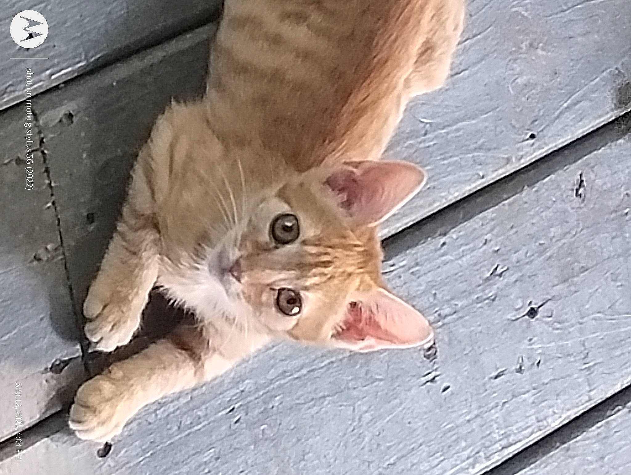 Oliver