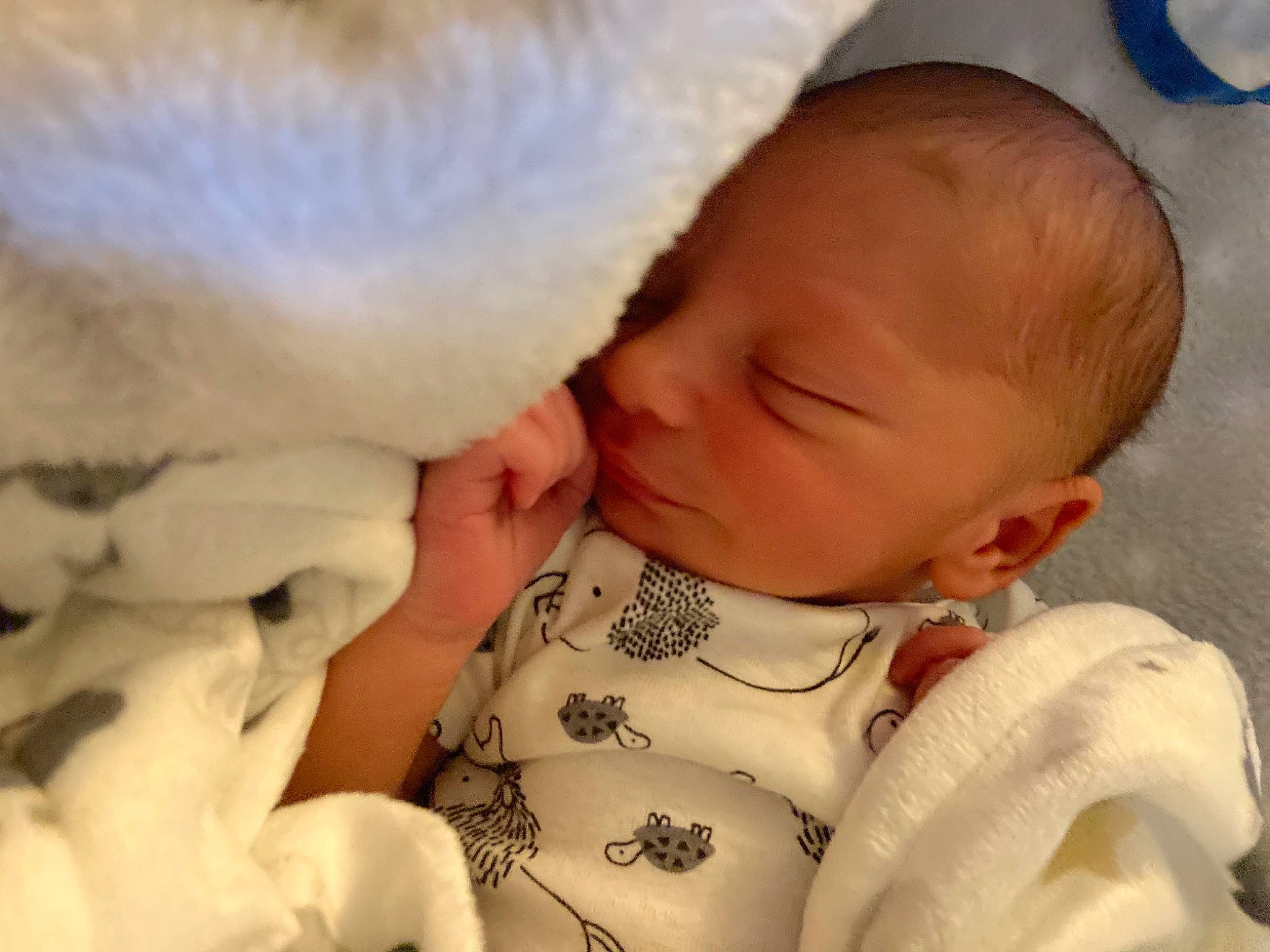 Kyngston joined the competition — help win amazing prizes! baby, baby_sleeping, baby_toddler_clothing, bedtime, cheek, child, chin, comfort, ear, eyelash, face, gesture, hairstyle, happy, iris, lip, mouth, nose, person, skin