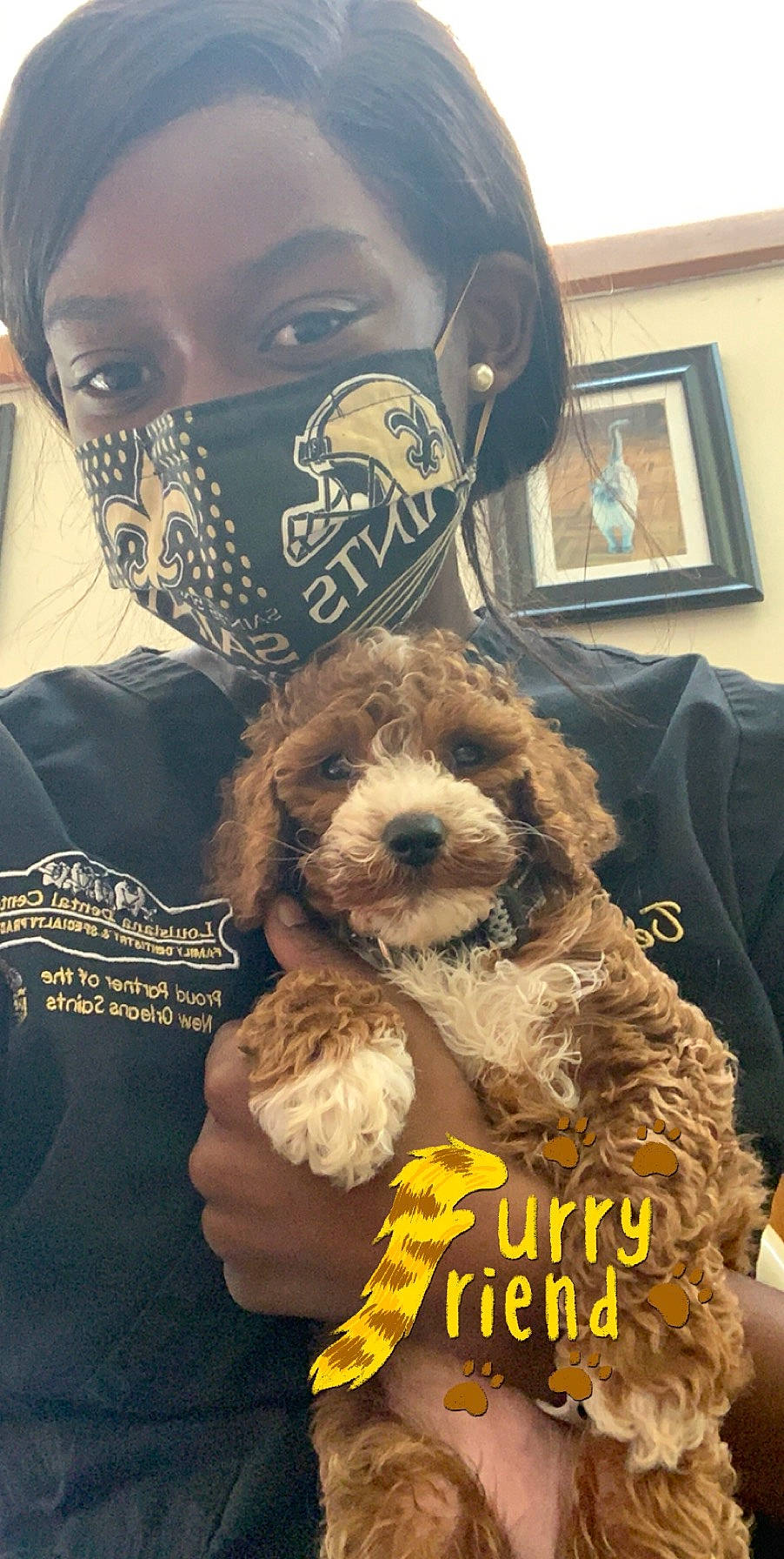 Bailey is registered to the contest to win money with this photo: canidae, carnivore, cavapoo, cockapoo, companion_dog, dog, dog_breed, goldendoodle, labradoodle, mammal, miniature_poodle, non_sporting_group, poodle, poodle_crossbreed, puppy, puppy_love, schnoodle, spanish_water_dog, sporting_group, toy_poodle