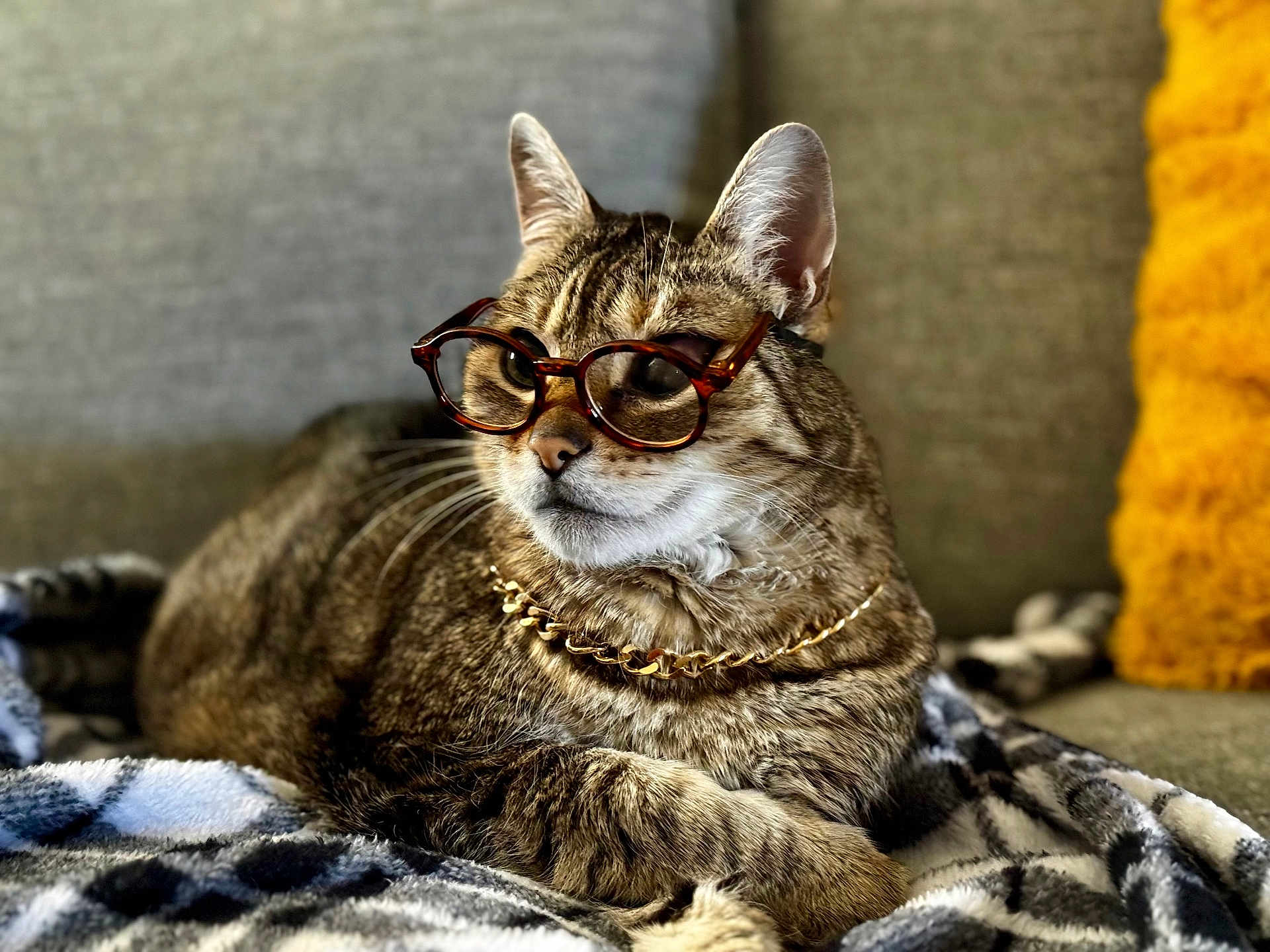 Gus