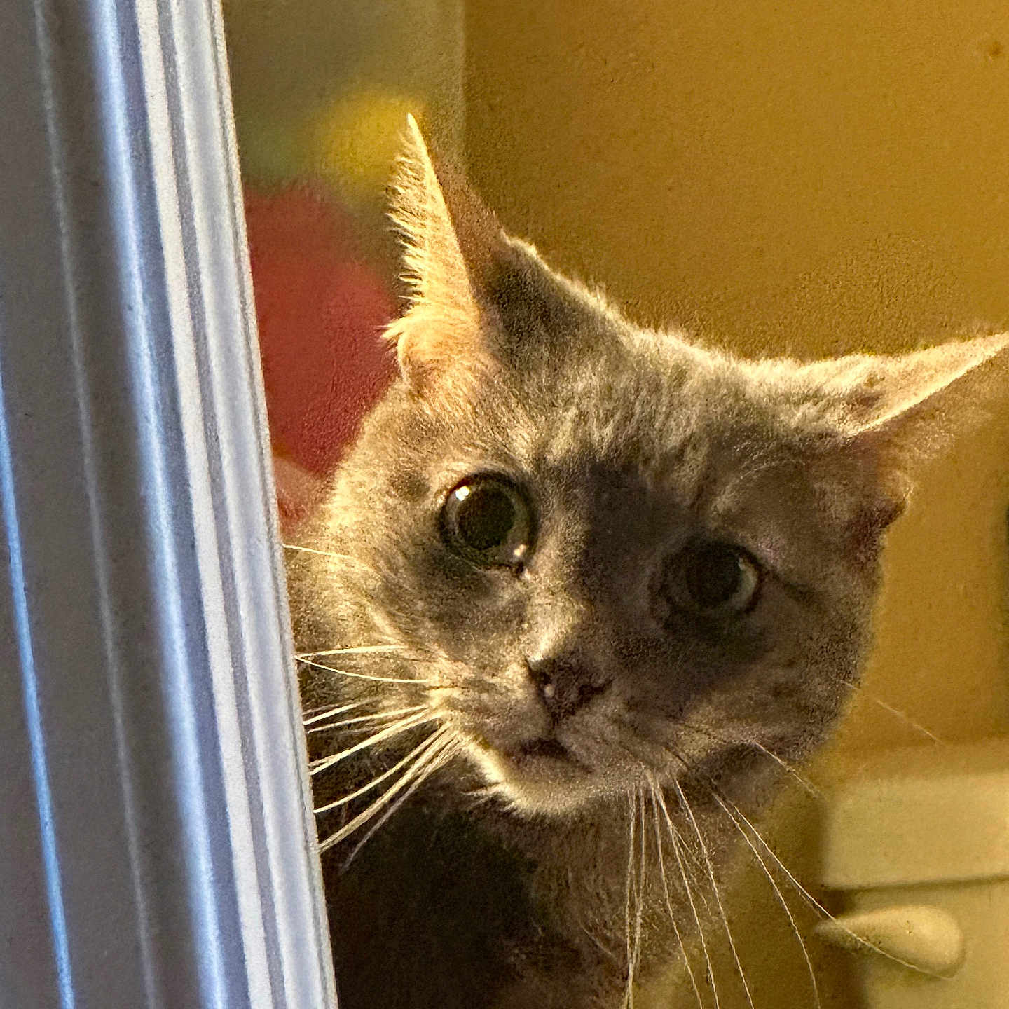 Leroy