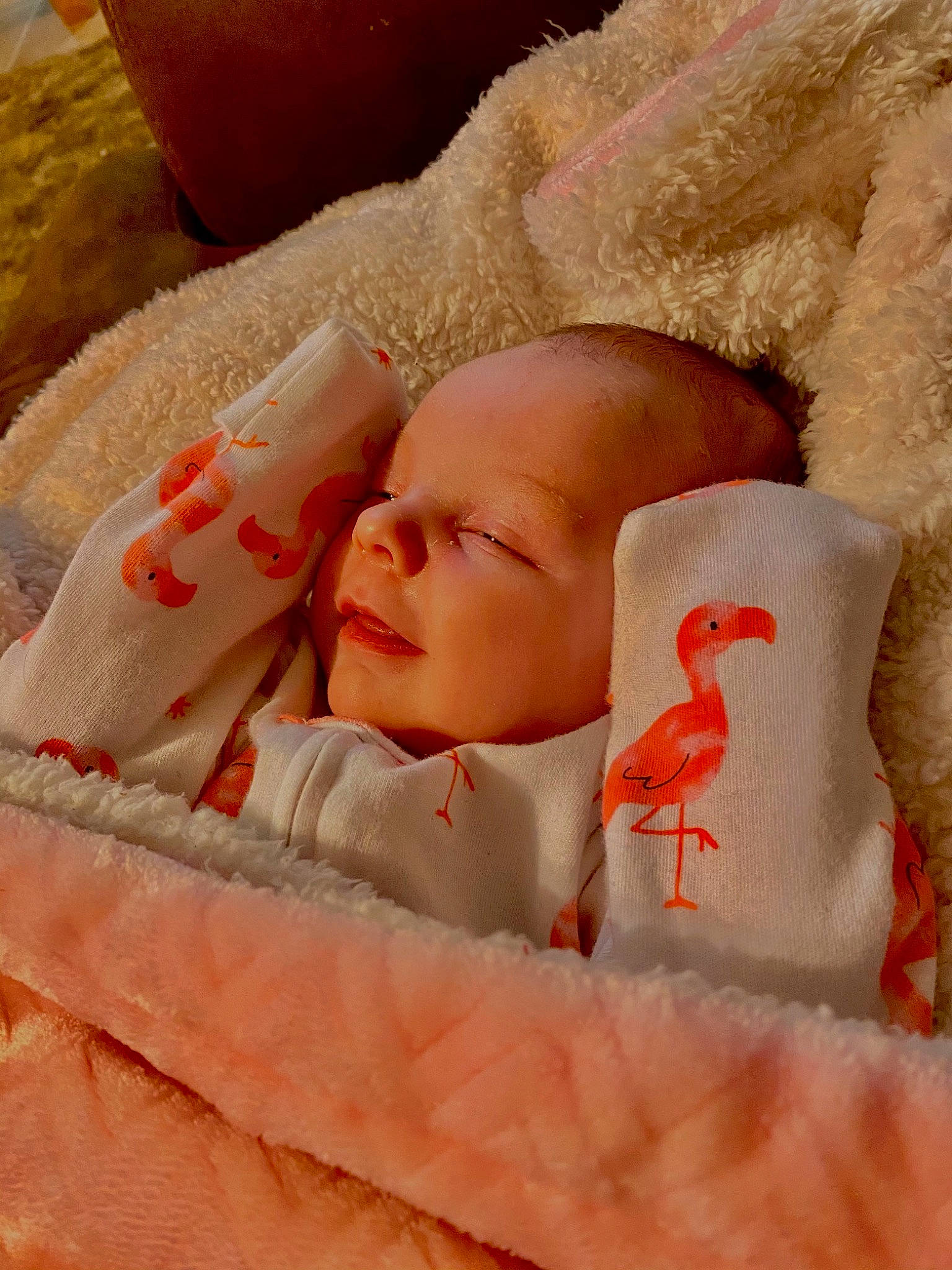 Laikyn joined the competition — help win amazing prizes! baby, baby_sleeping, bed_sheet, bedding, bedtime, child, close_up, comfort, eye, fur, happy, linens, nap, orange, peach, people_in_nature, person, room, skin, throw_pillow