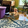 Macie joined the competition — help win amazing prizes! baby, cardboard_box, toy, indoor, carpet, plant, window, wooden_floor, furniture, photo_frame, smiling, child, home, green_toy, yellow_wall, potted_plant, table, purple_bin, happy, candid