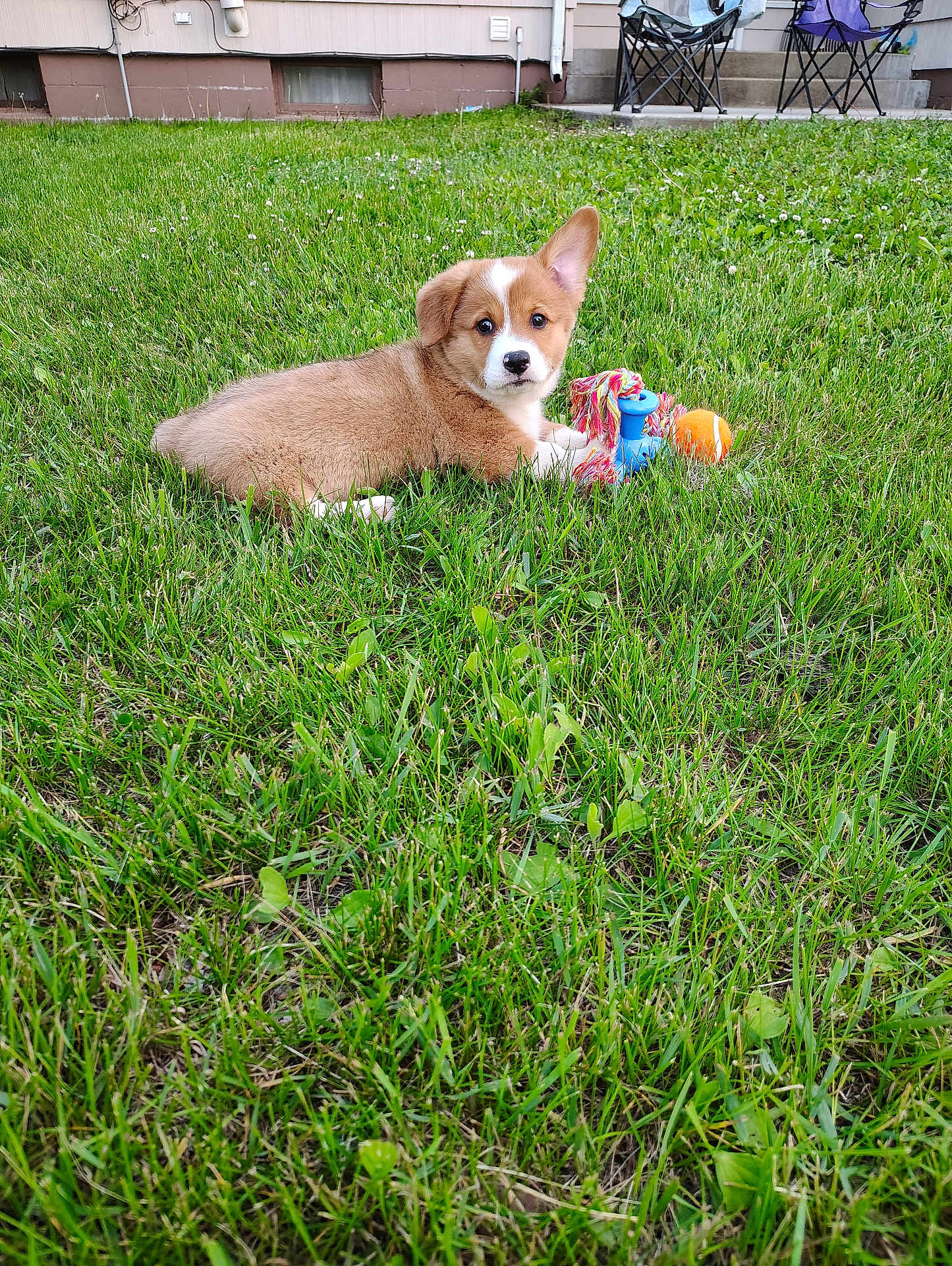 Quincy
