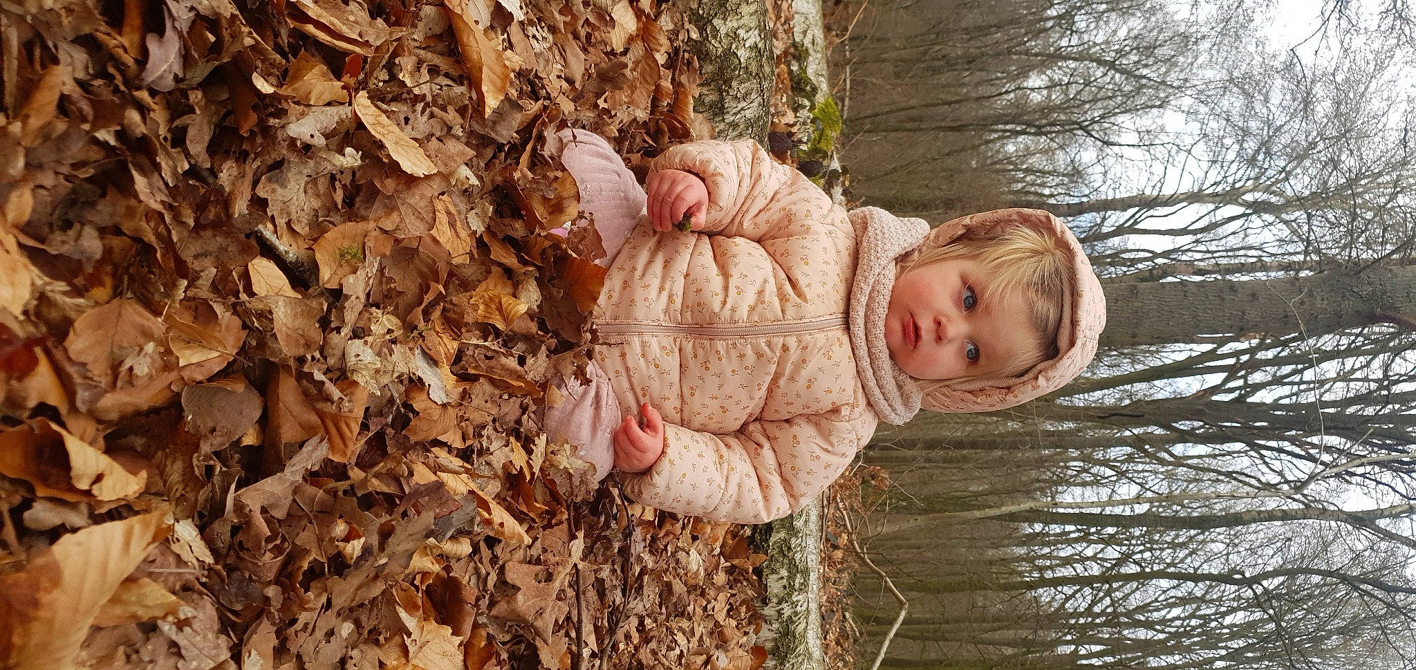 Mila participe au concours pour gagner de l'argent avec cette photo : baby, branch, child, deciduous, eye, forest, gesture, grass, happy, people_in_nature, person, plant, soil, thumb, toddler, tree, trunk, twig, winter, wood