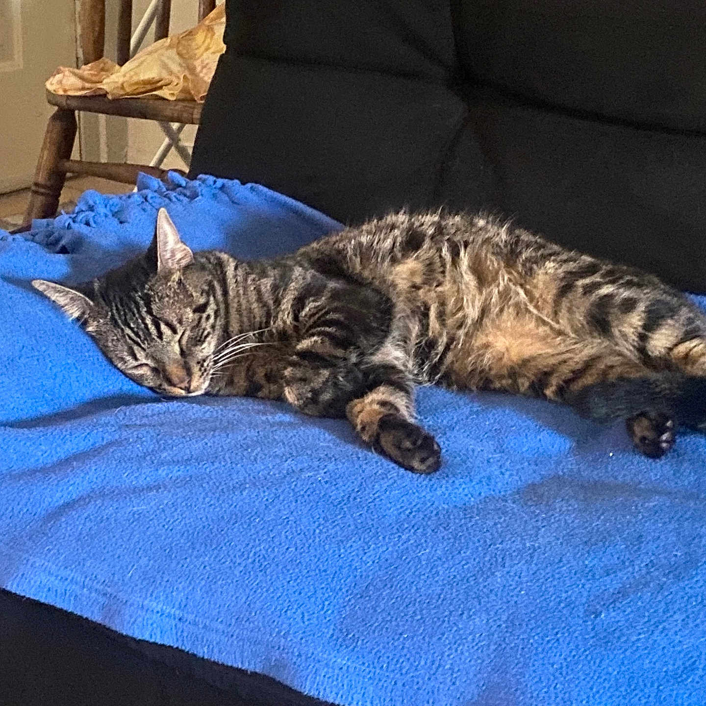 Leo