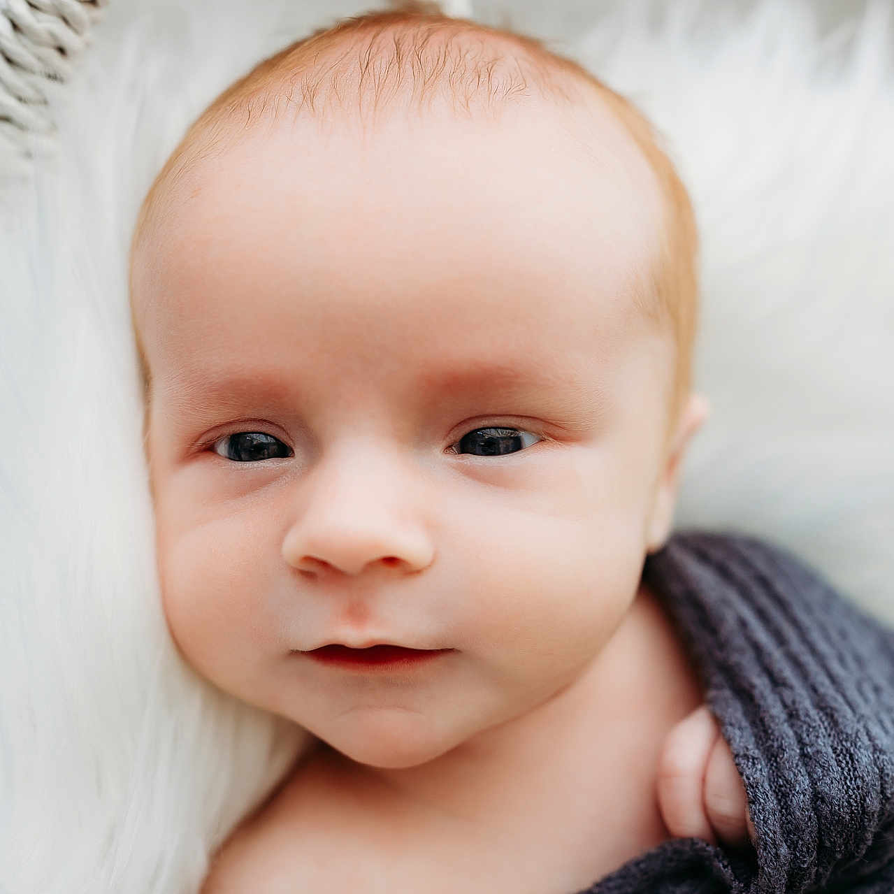 Atlas joined the competition — help win amazing prizes! baby, baby_wrapped, blanket, child, close_up, cozy, cute, expression, eyes, face, head, human, infant, newborn, peaceful, portrait, resting, skin, soft_texture, warmth