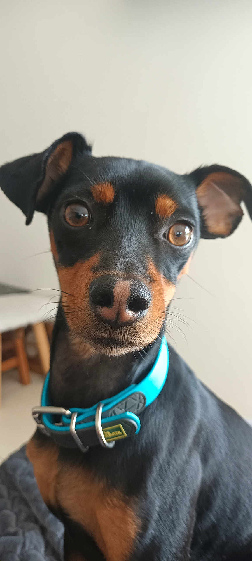 Rocky
