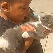 Esther joined the competition — help win amazing prizes! child, cat, gray_cat, white_paws, holding, indoor, tiled_floor, gentle, affection, curiosity, young_child, pet, animal, human_hand, close_up, face, interaction, soft_lighting, caring, bond