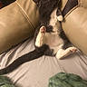 Esther is registered to the contest to win money with this photo: cat, gray_cat, white_paws, stretching, lying_down, couch, beige_couch, tail, paw, indoor, pet, feline, relaxed, blanket, soft_texture, fur, sleepy, cute, resting, cozy