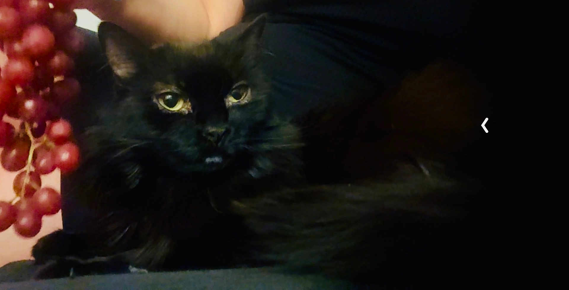 Benson