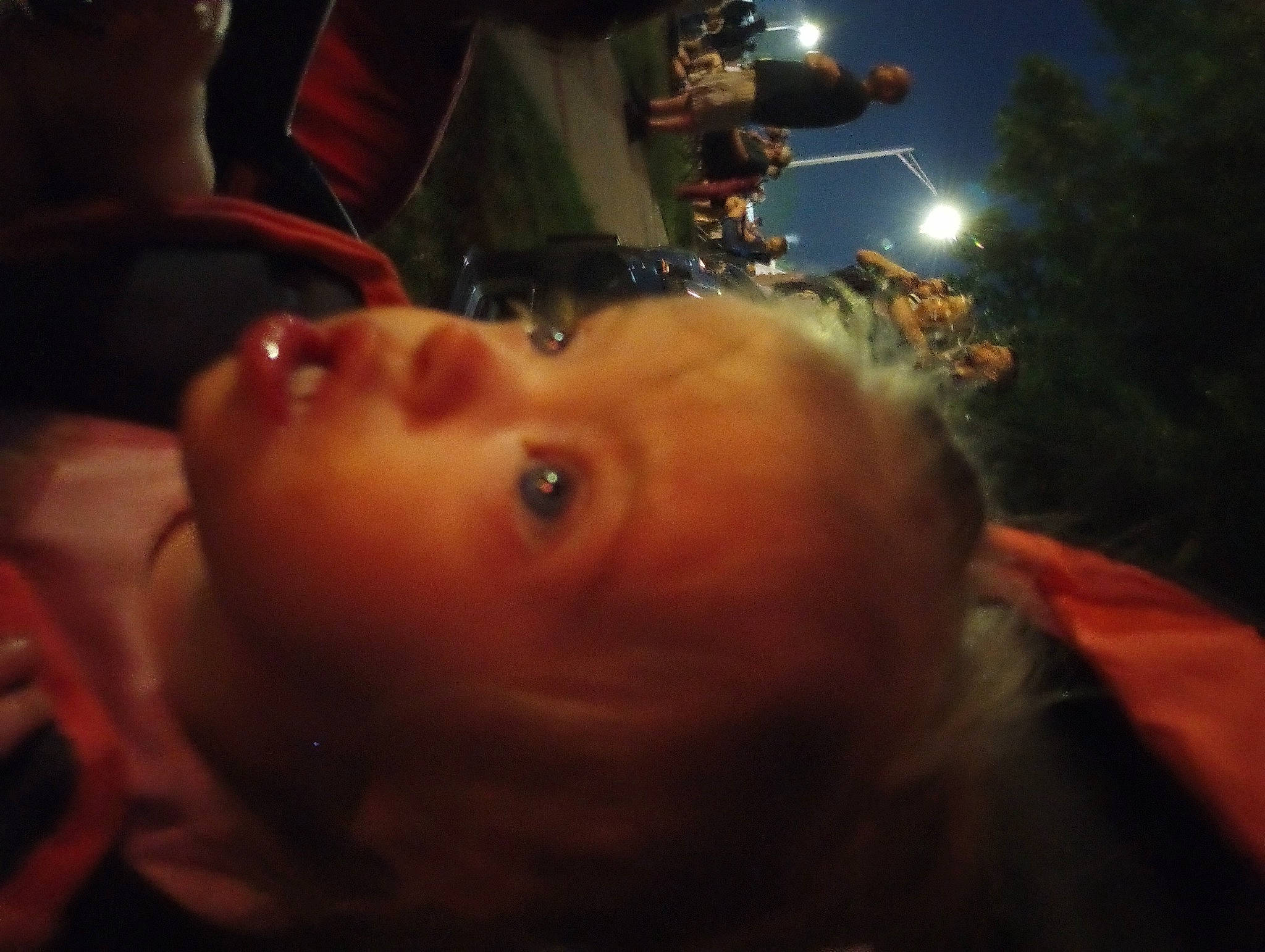 Mya is registered to the contest to win money with this photo: automotive_lighting, baby, child, darkness, event, flash_photography, fun, grass, happy, heat, midnight, mouth, night, nose, person, plant, sky, street_light, toddler, tree