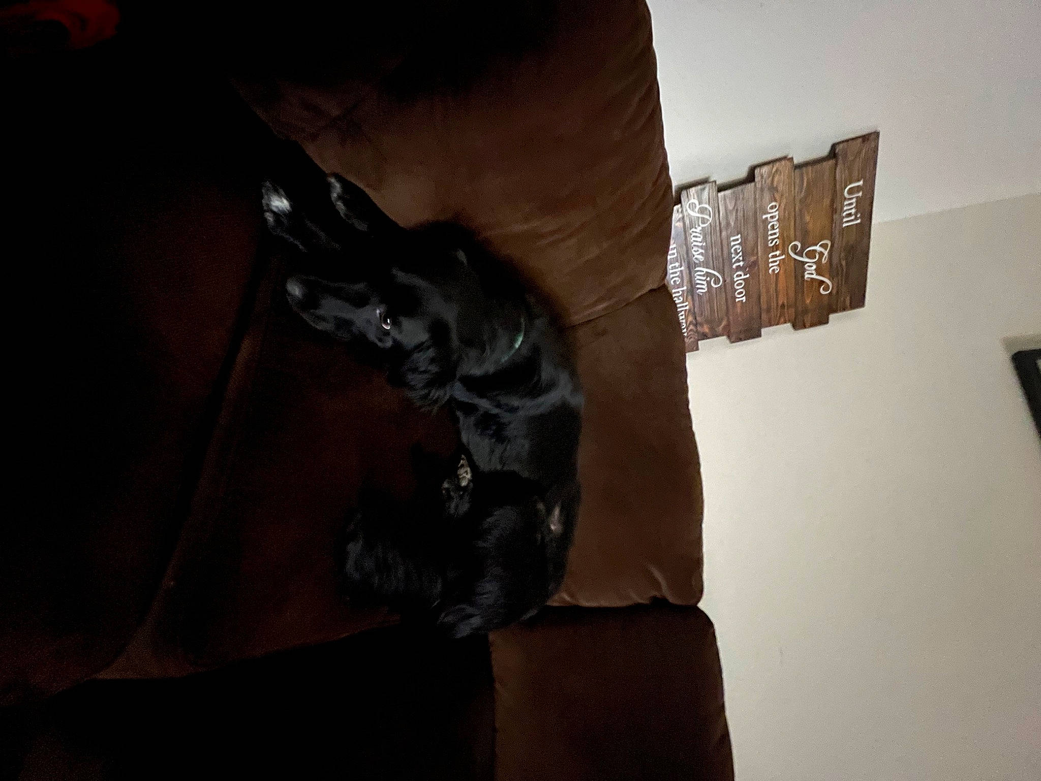 Vitani joined the competition — help win amazing prizes! art, artifact, bronze_sculpture, brown, creative_arts, darkness, gesture, grey, metal, paper, paper_product, personal_protective_equipment, religious_item, room, sculpture, statue, visual_arts, wing, wood, wrist