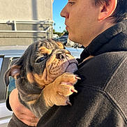 Rodger is registered to the contest to win money with this photo: person, dog, puppy, bulldog, holding, outdoor, sunlight, face, profile, black_hoodie, cap, pet, animal, close_up, wrinkles, car, blue_sky, expression, hand, cute