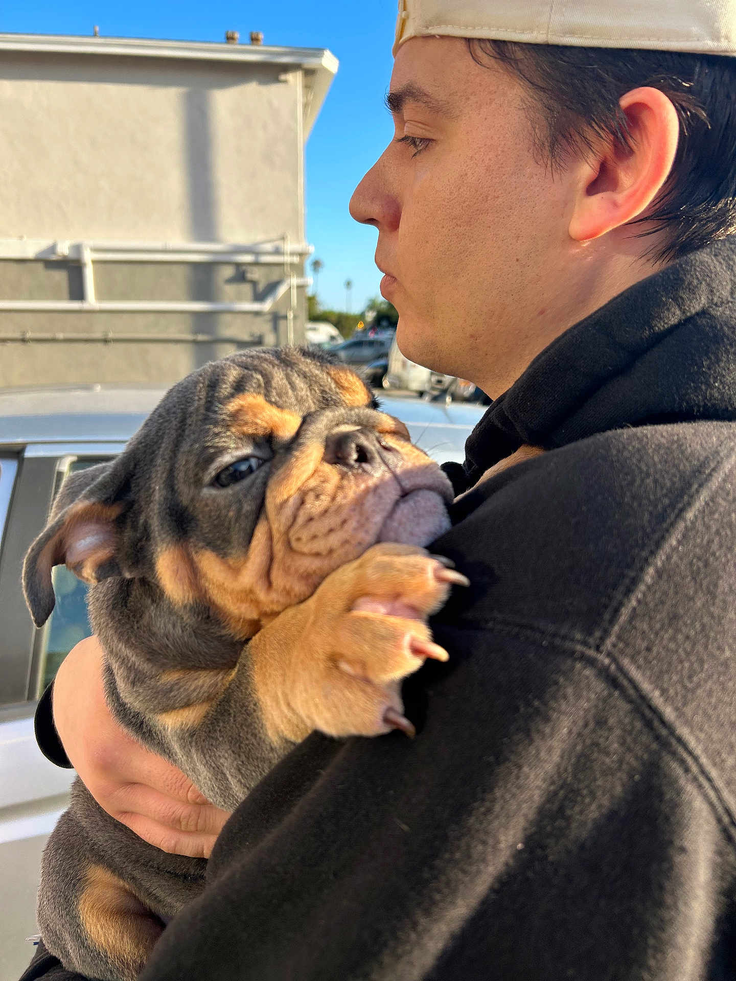 Rodger is registered to the contest to win money with this photo: person, dog, puppy, bulldog, holding, outdoor, sunlight, face, profile, black_hoodie, cap, pet, animal, close_up, wrinkles, car, blue_sky, expression, hand, cute