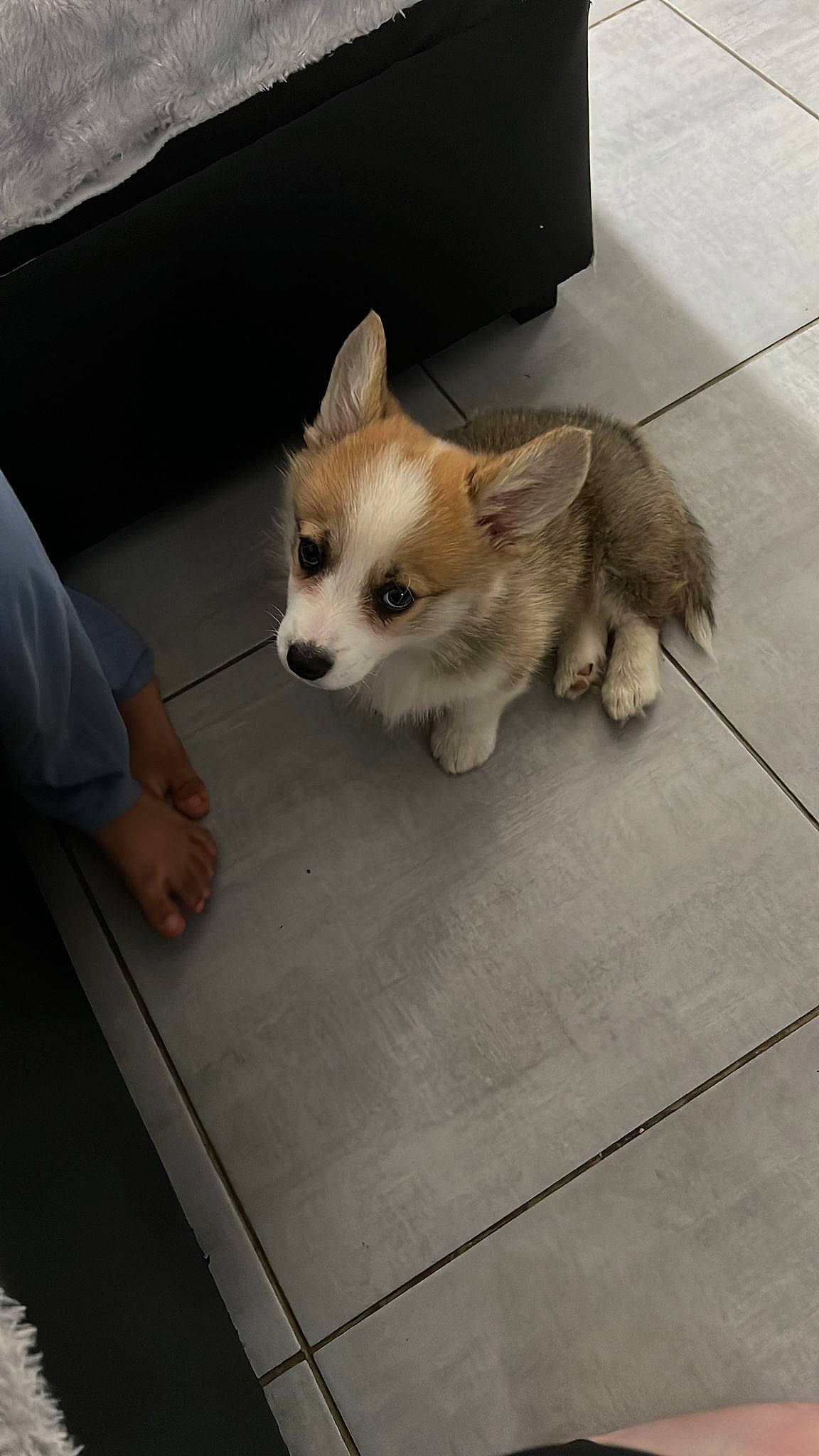 Teiko