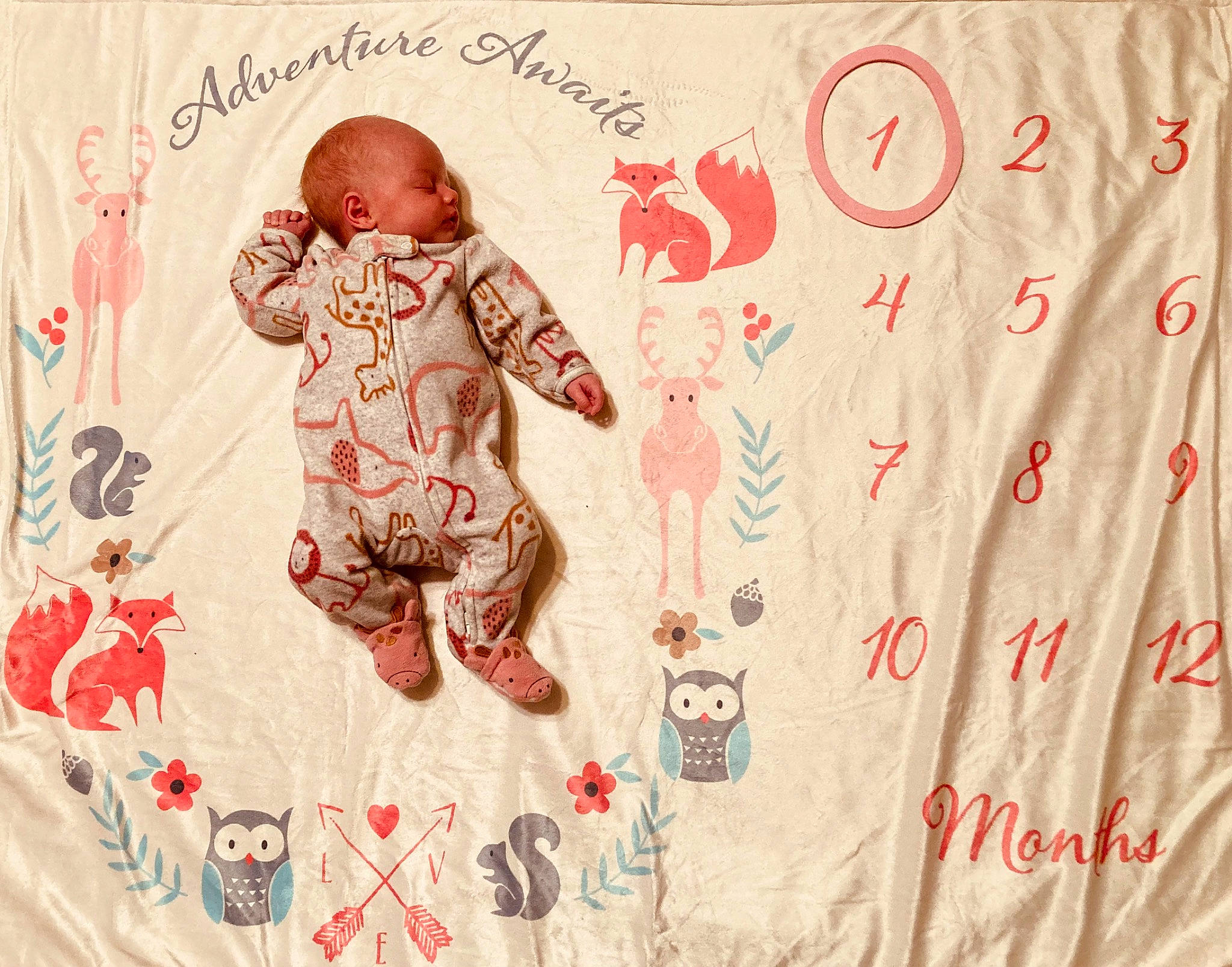 Jay is registered to the contest to win money with this photo: art, baby, baby_toddler_clothing, carmine, child, font, happy, illustration, linens, pattern, person, pink, product, red, room, sleeve, t_shirt, textile, toddler, tree