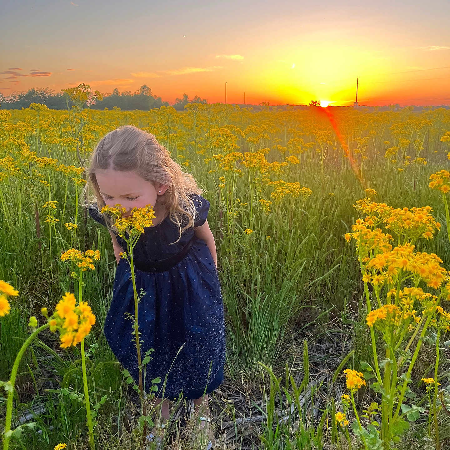 Ainsley Vandyke joined the competition — help win amazing prizes! child, countryside, daisy, face, female, field, flower, girl, grass, grassland, head, meadow, nature, outdoors, person, photography, plant, portrait, rural, sky
