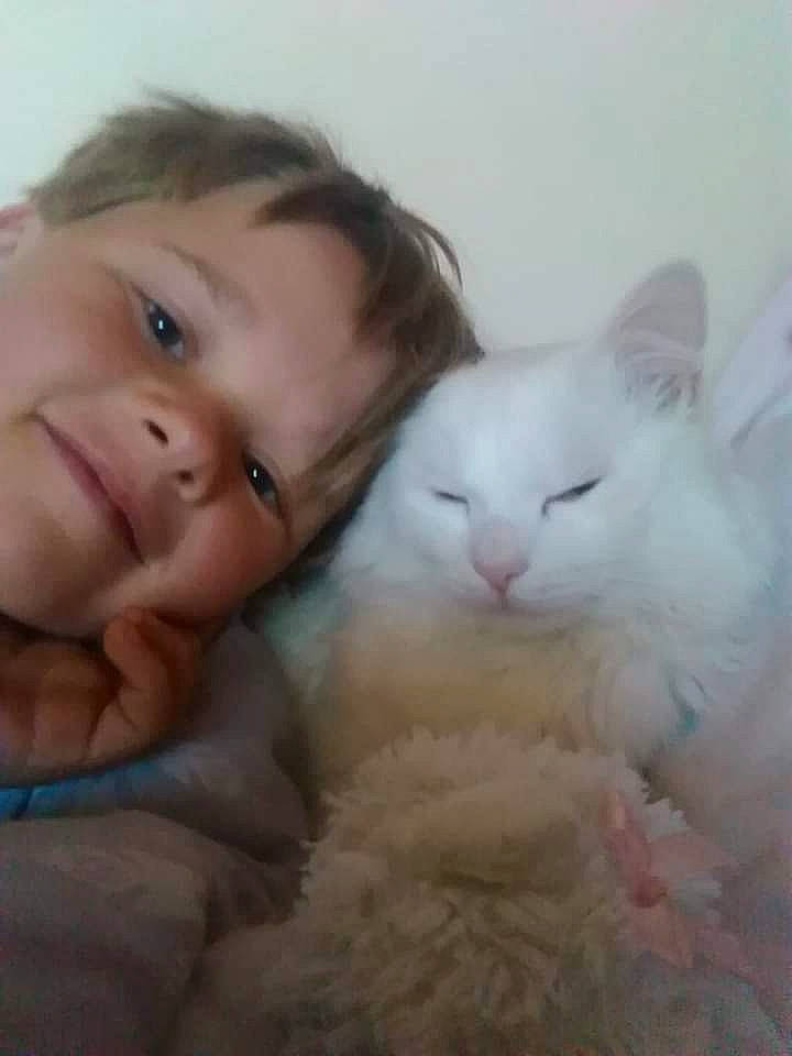 Lil' Blue joined the competition — help win amazing prizes! carnivore, cat, cheek, comfort, eye, eyelash, felidae, fur, gesture, happy, head, nose, skin, small_to_medium_sized_cats, smile, toddler, whiskers