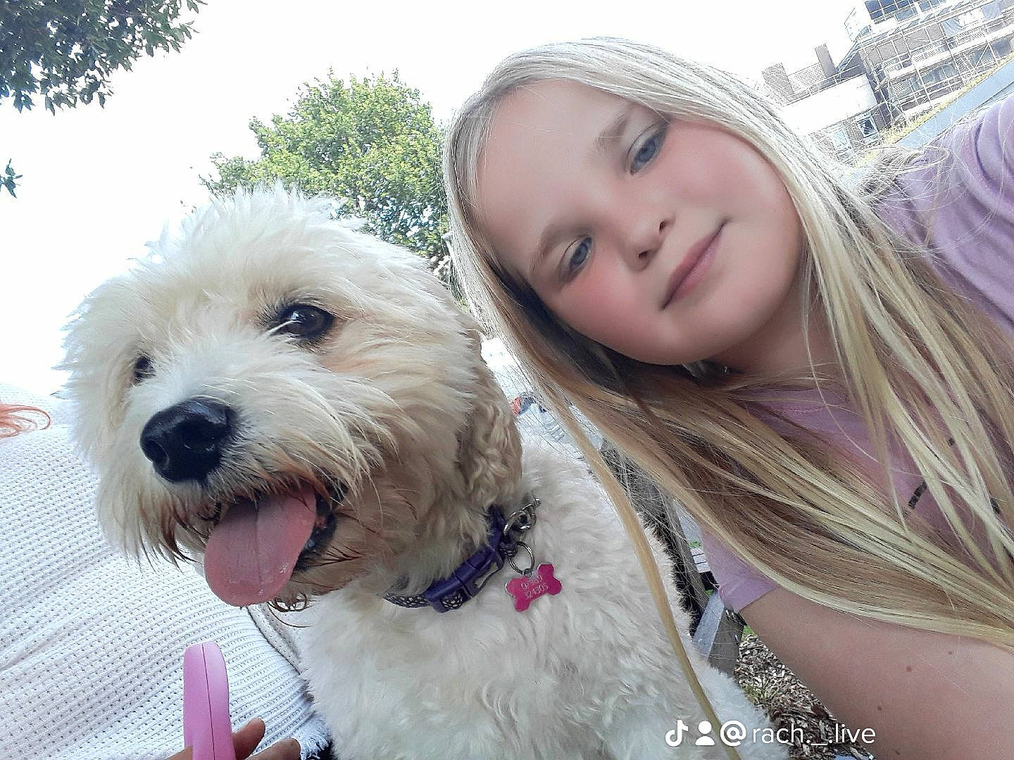 Dizzy joined the competition — help win amazing prizes! blond, carnivore, collar, companion_dog, dog, dog_breed, dog_collar, eyewear, fashion_accessory, fun, fur, happy, sky, smile, snout, sporting_group, terrier, toy_dog, vision_care, working_animal